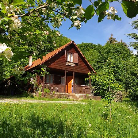 Casa Lacramioara Sîmbăta de Sus Exteriér fotografie