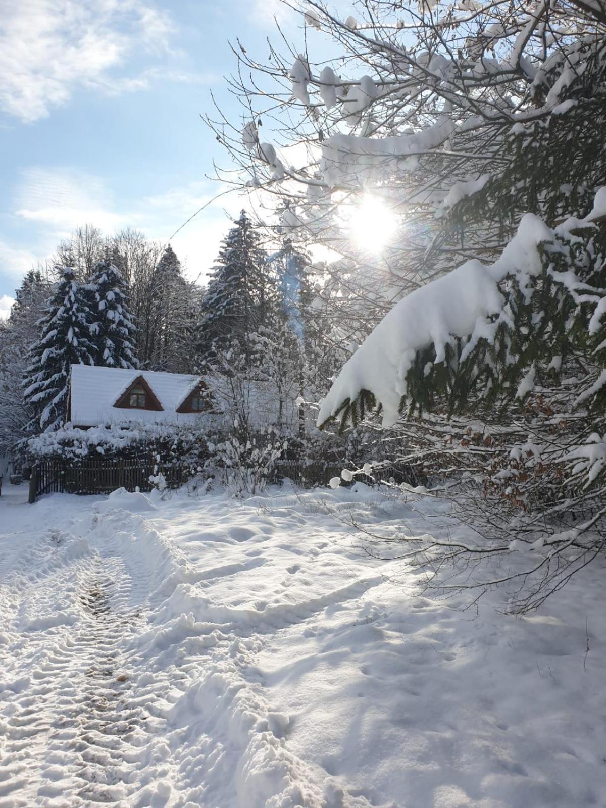 Casa Lacramioara Sîmbăta de Sus Exteriér fotografie