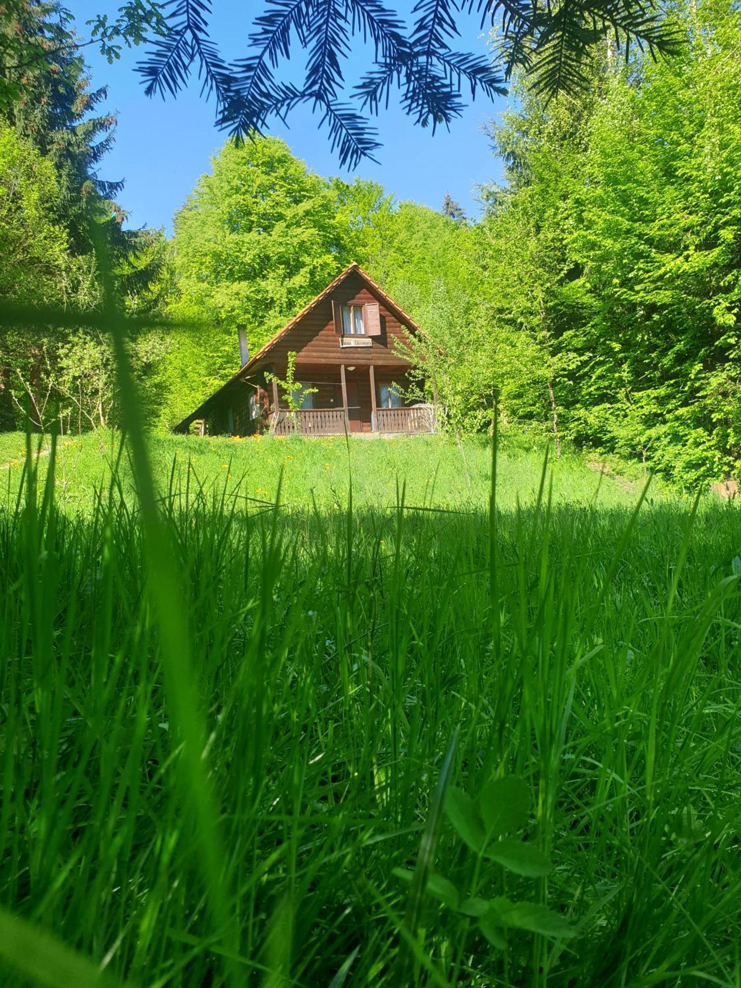 Casa Lacramioara Sîmbăta de Sus Exteriér fotografie