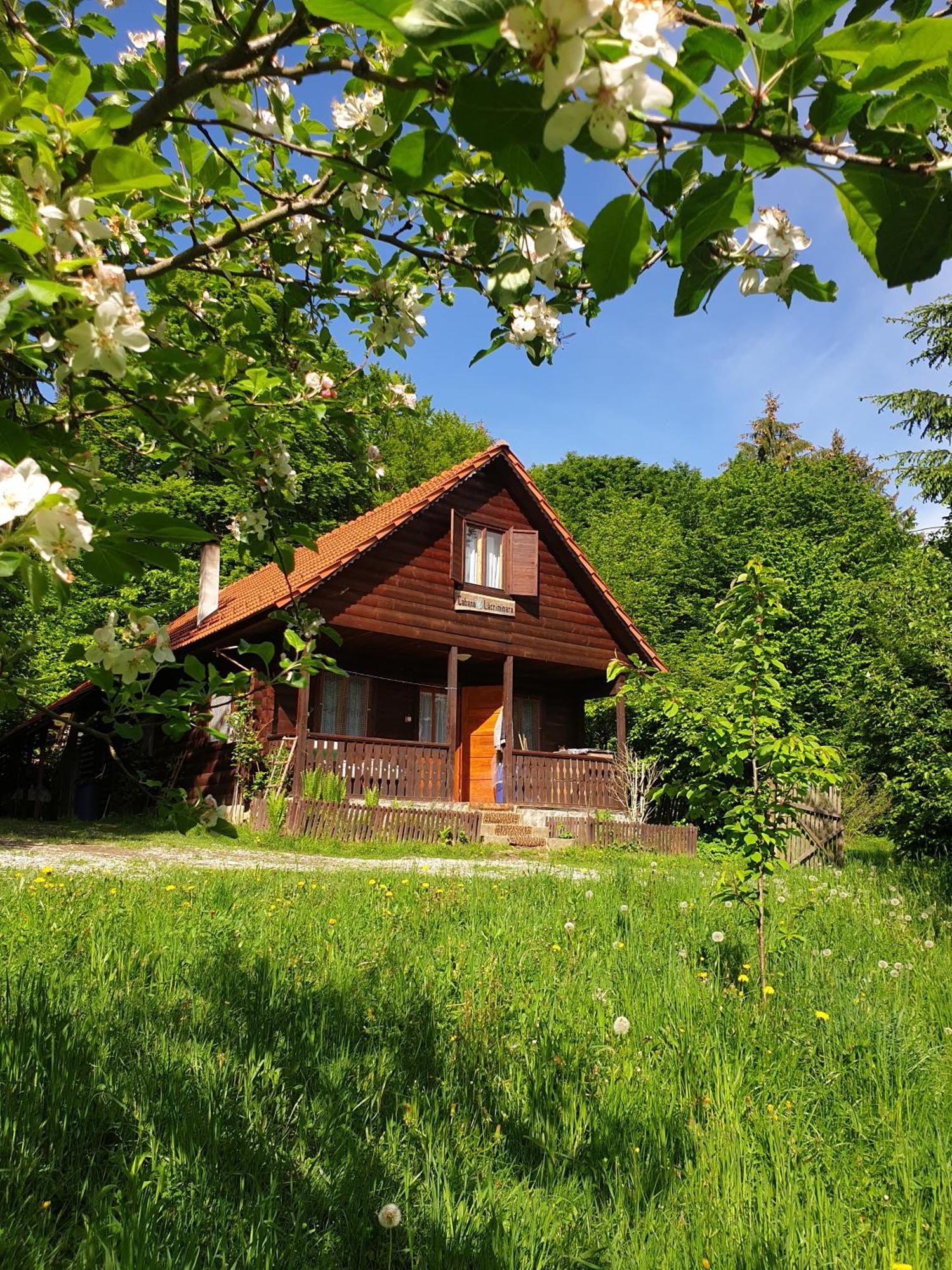Casa Lacramioara Sîmbăta de Sus Exteriér fotografie