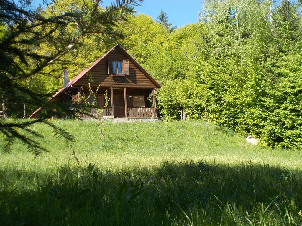 Casa Lacramioara Sîmbăta de Sus Exteriér fotografie