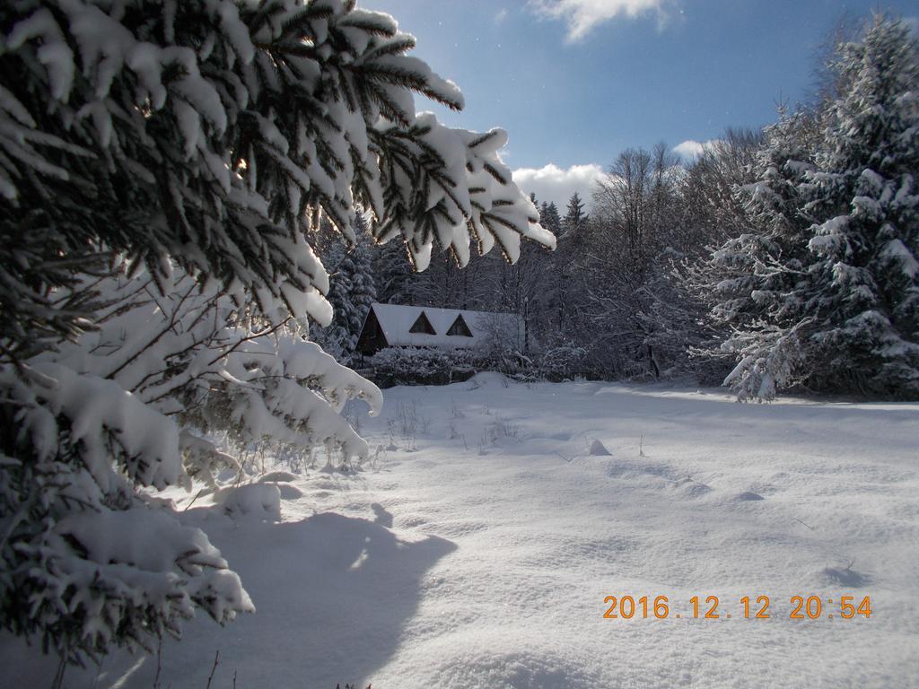 Casa Lacramioara Sîmbăta de Sus Exteriér fotografie